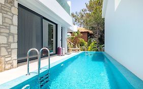 D Palm Premium Living - Kalathas, Chania