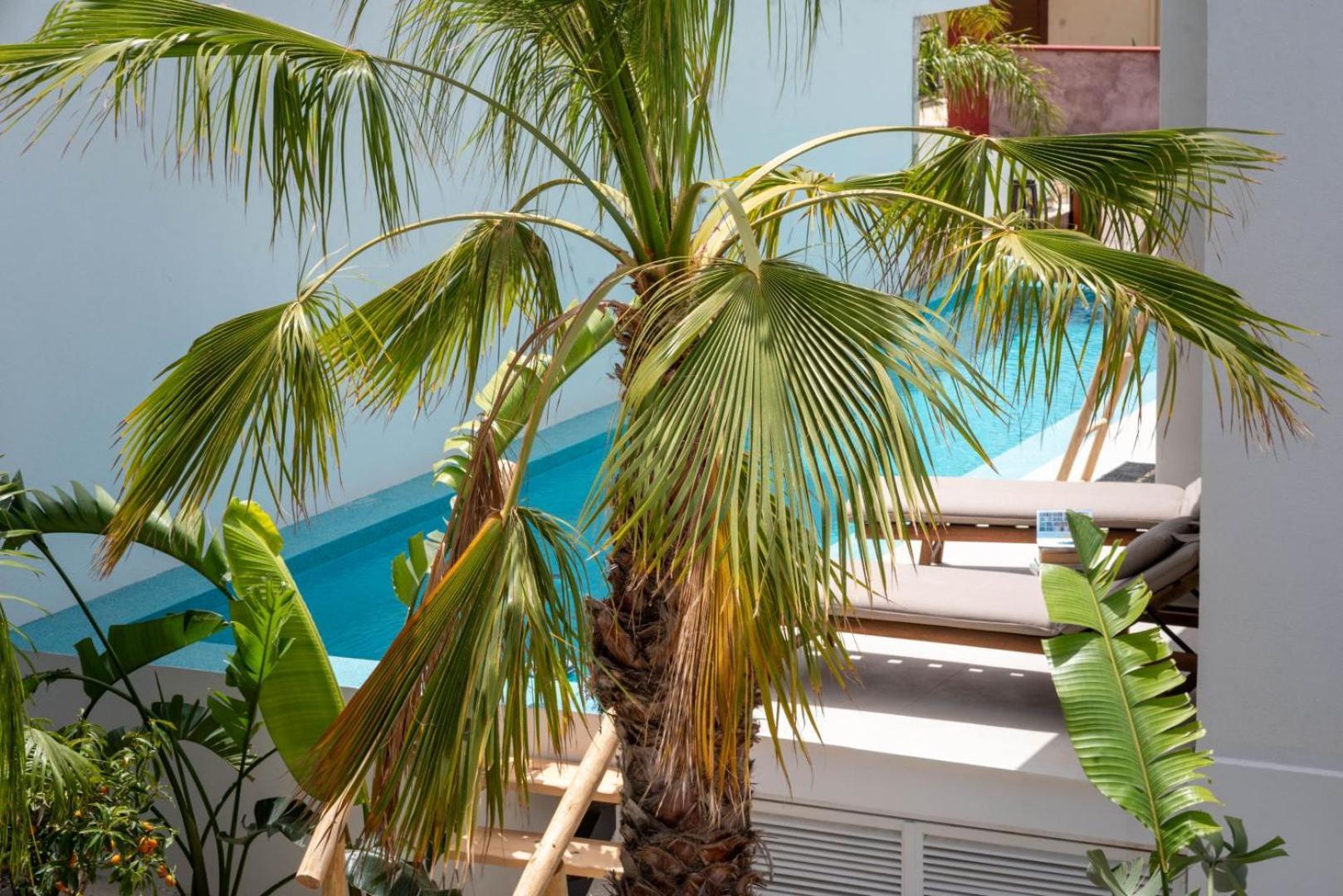 D Palm Premium Living - Kalathas, Chania La Canée Extérieur photo